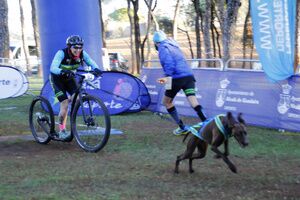 Galería gráfica primera jornada de la Copa de España de Mushing